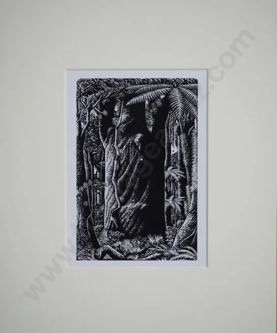 TAYLOR, E. Mervyn (1906-1964) - Giant Kauri Image 1++