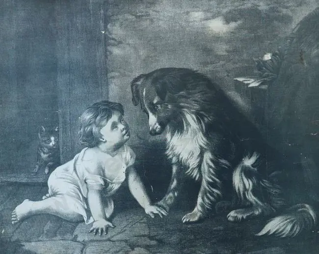UNKNOWN - Child with Dog and Cat Image 1++