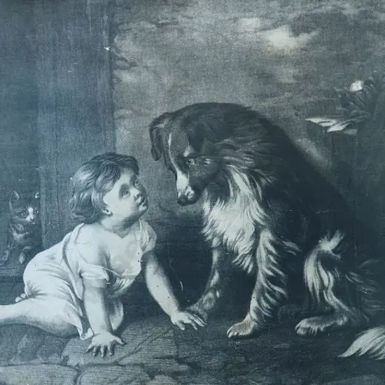 UNKNOWN - Child with Dog and Cat