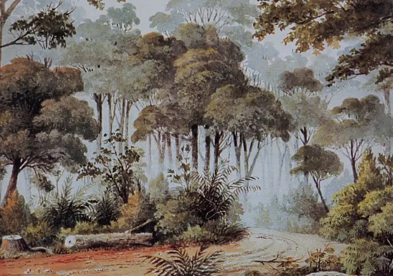 SHARPE, Alfred (1836-1908) - Early Morning Ground Fog, Point Shepherd Image 1++