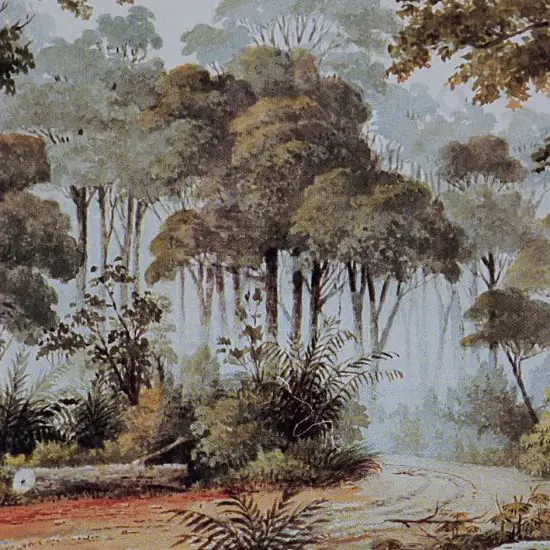 SHARPE, Alfred (1836-1908) - Early Morning Ground Fog, Point Shepherd