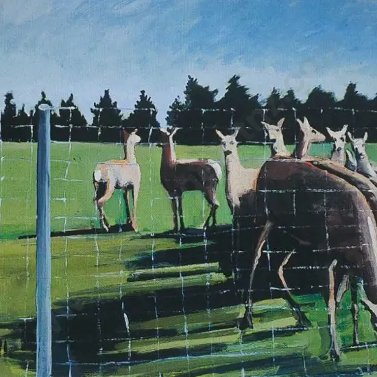 MOFFITT, Trevor (1936-2006) - Deer Paddock No 3, Canterbury, 1991