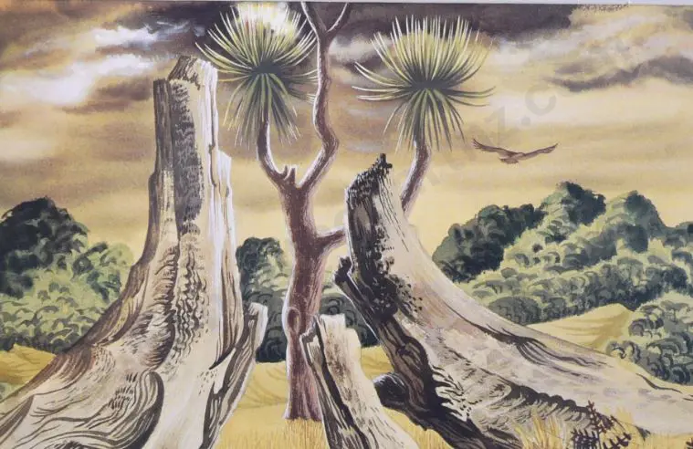 TAYLOR, E. Mervyn (1906-1964) - Kauri Stump - 1950 Image 1++