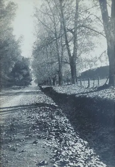 UNKNOWN Photographer (A67) - Country Road in Autumn Image 1++