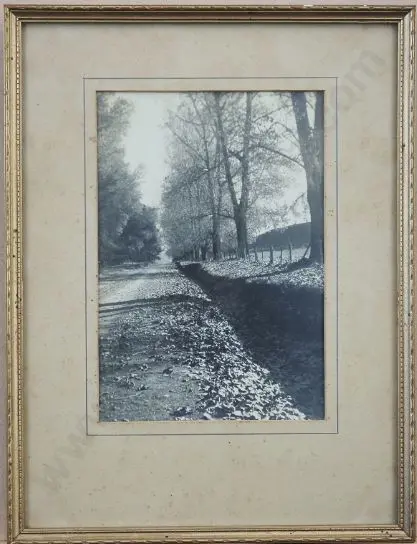 UNKNOWN Photographer (A67) - Country Road in Autumn Image 1++