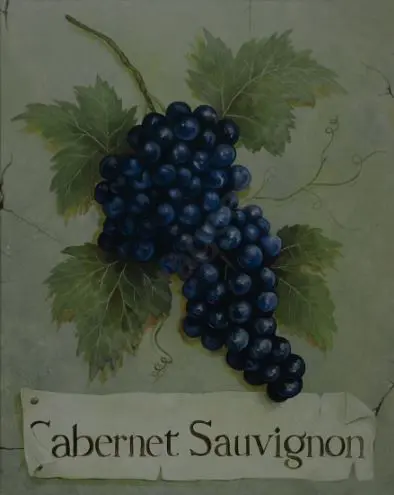 UNKNOWN - Cabernet Sauvignon Image 1++