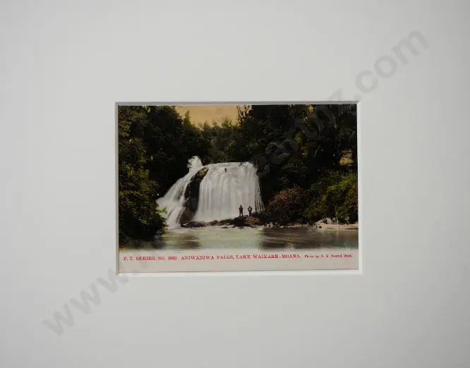 N.Z. Tourist Dept - Aniwaniwa Falls, Lake Waikaremoana, c.1900 Image 1++