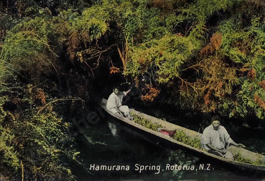 UNKNOWN - Hamurana Spring, Rotorua, c.1900 Image 1++