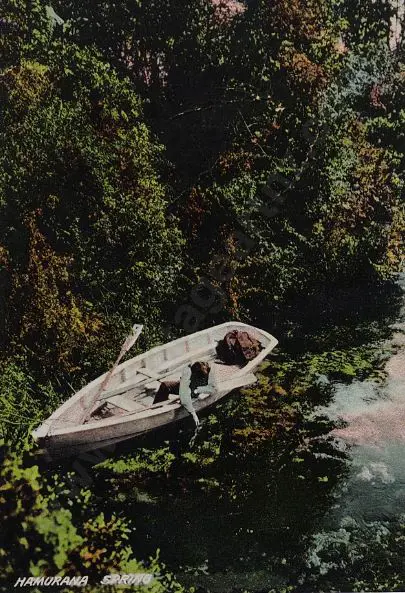 UNKNOWN - Hamurana Spring, Rotorua, c.1900 Image 1++