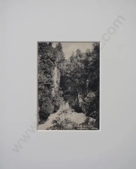 UNKNOWN - Tuatea Falls, Okere, Rotorua, c.1900 Image 1++