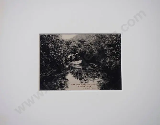 MARSH, Robert G. (1862-1940) - Twins & Inferno, Tikitere, Rotorua, c.1900 Image 1++