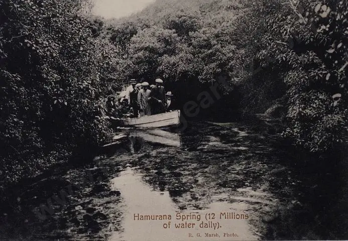 MARSH, Robert G. (1862-1940) - Twins & Inferno, Tikitere, Rotorua, c.1900 Image 1++