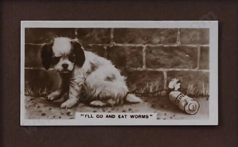 UNKNOWN Artist - I'll Go and Eat Worms (Forlorn looking Spaniel) Image 1++