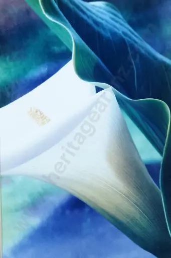 UNKNOWN Artist - Abstract Image 1++