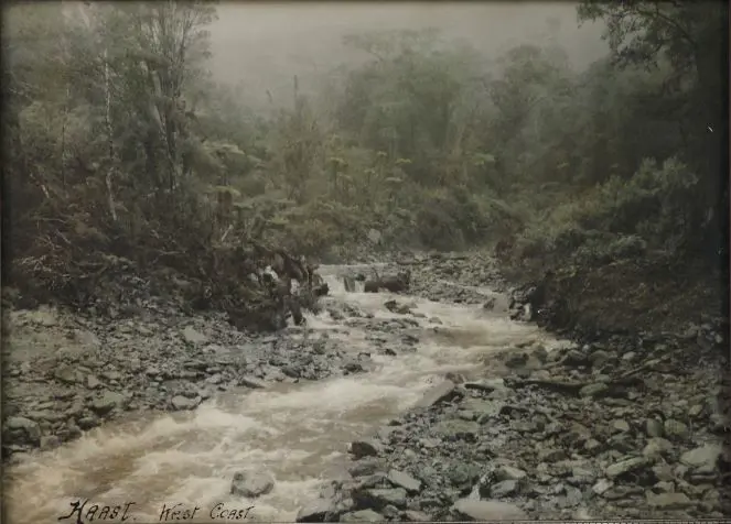 BARKER, H.F. - Haast, West Coast, N.Z. Image 1++