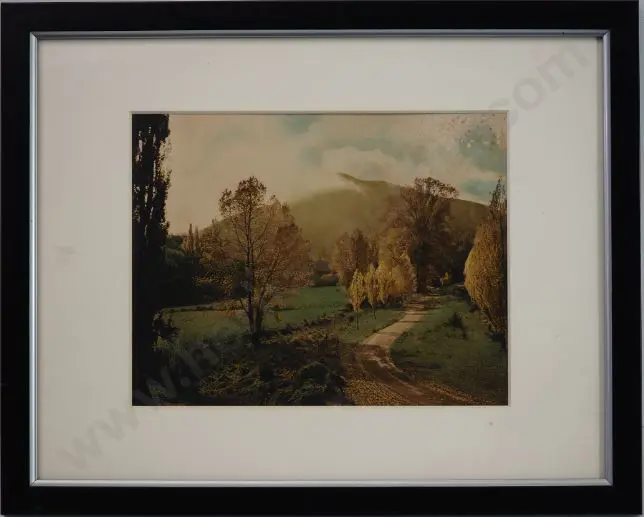 DUDGEON, Ellis (1905-1979) - Autumn, Matai Valley Image 1++