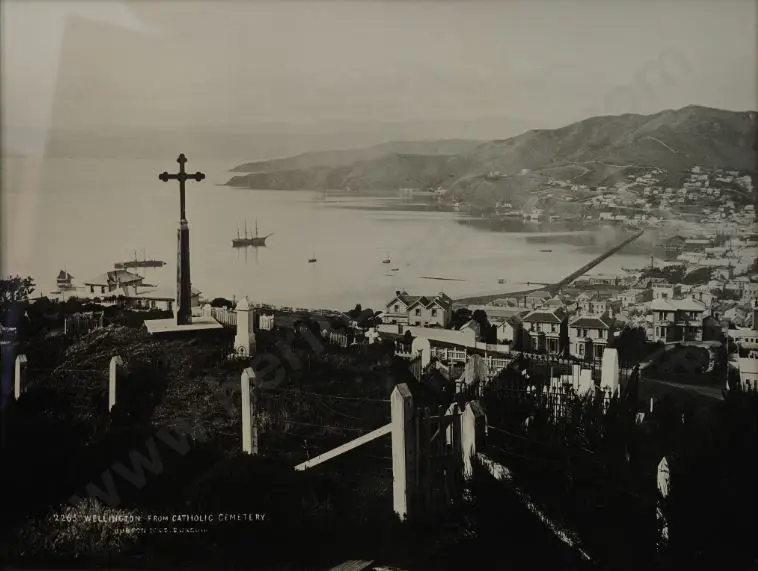 BURTON Brothers (c.1880-1885) - Wellington from Catholic Cemetery Image 1++