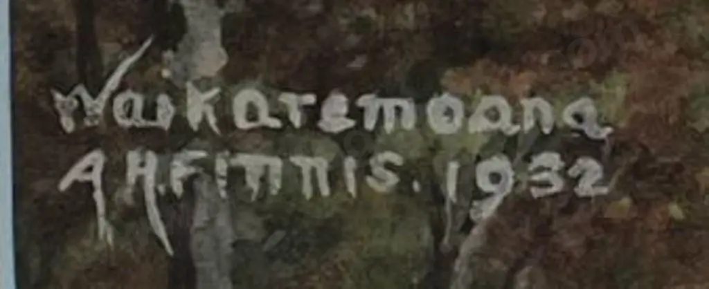 FINNIS, A - Lake Waikaremoana Image 1++