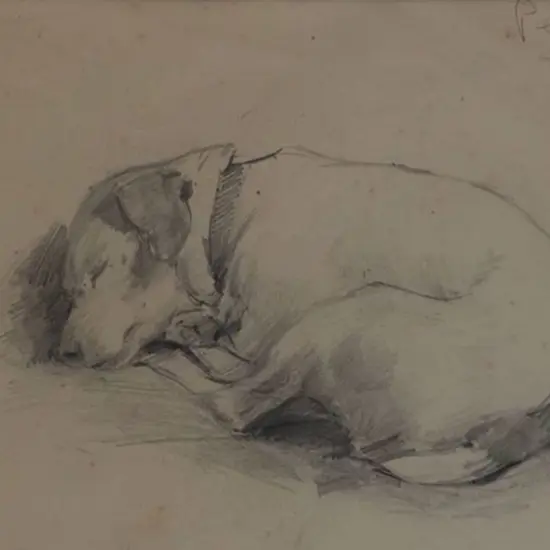WHITEMAN, Violet Emily (1873-1952) - Pepper, the Dog