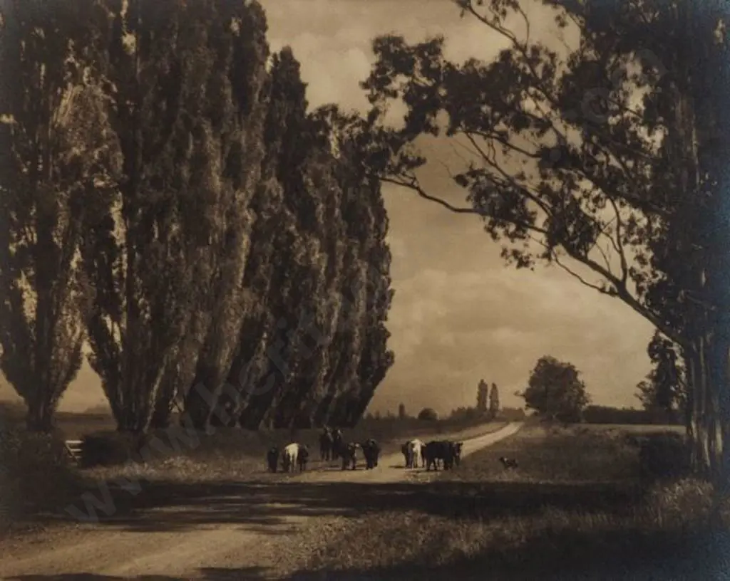 CHANCE, George (1885-1963) - Summer Day, South Canterbury Image 1++