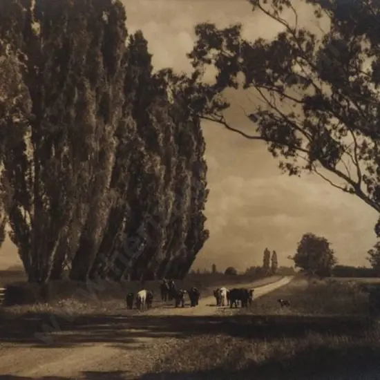 CHANCE, George (1885-1963) - Summer Day, South Canterbury