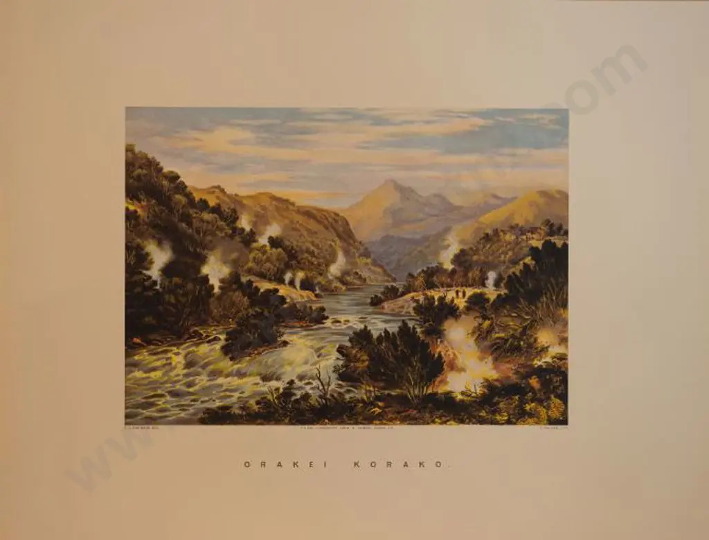 BARRAUD, Charles Decimus (1822-1897) - Orakei Korako - New Zealand Graphic & Descriptive (1877) Image 1++