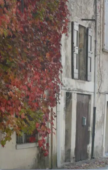 UNKNOWN - European Door with Autumn Leaves Image 1++