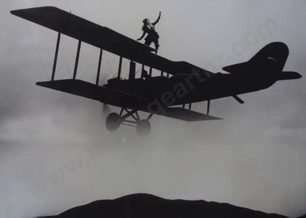 UNKNOWN artist - Woman Wing Walker Image 1++
