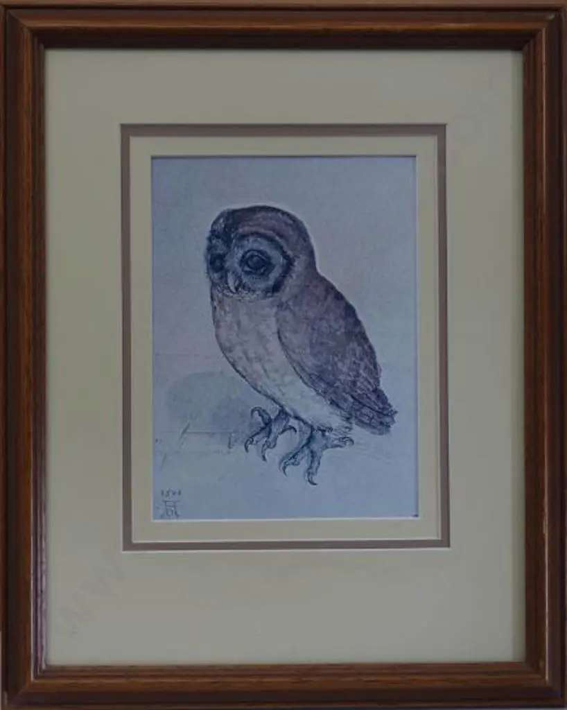 DURER, Albrecht (1471-1528) - The Little Owl, 1508` Image 1++