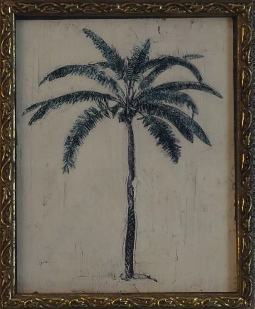 UNKNOWN - Nikau Palm Image 1++