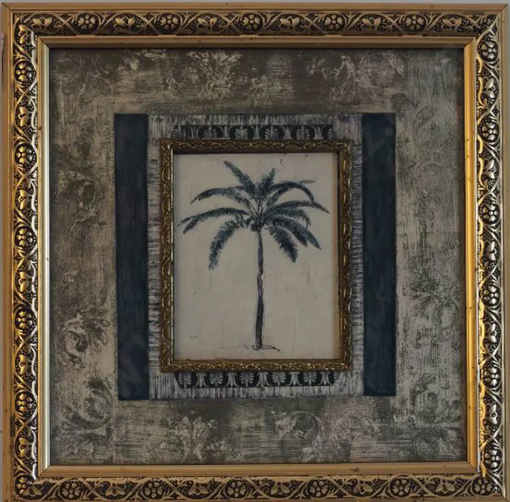 UNKNOWN - Nikau Palm Image 1++