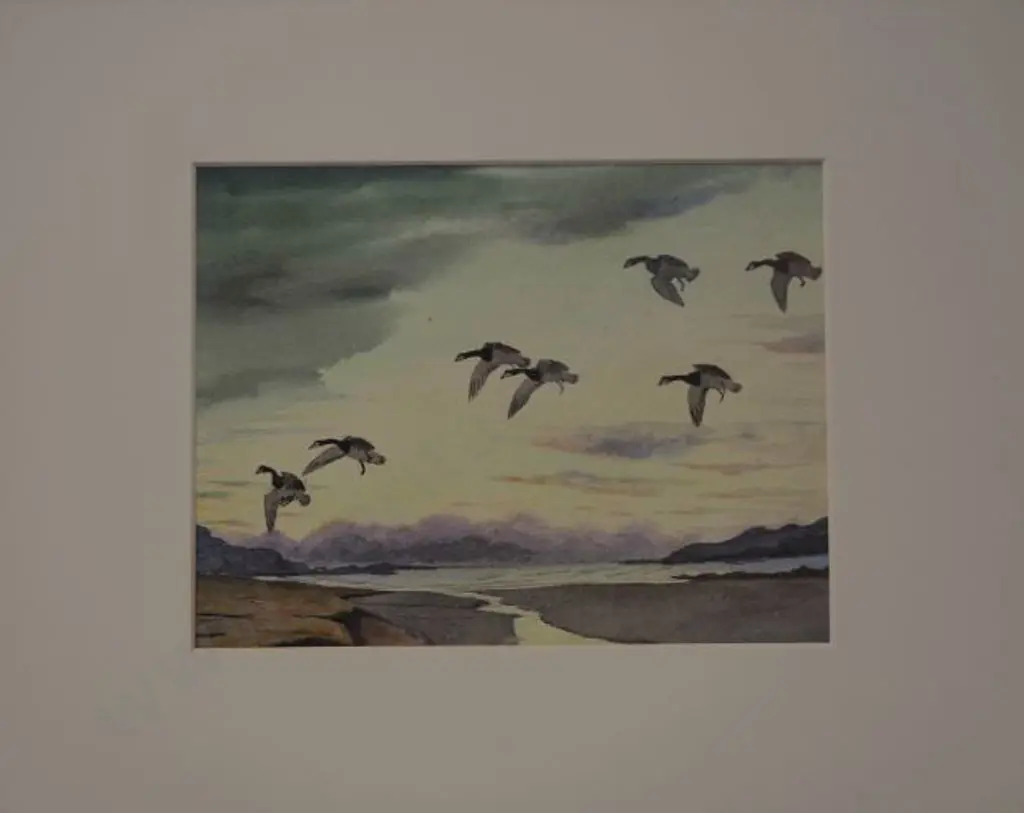 DUNCAN, John - Geese Flying over Estuary Image 1++