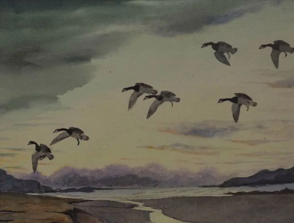 DUNCAN, John - Geese Flying over Estuary Image 1++