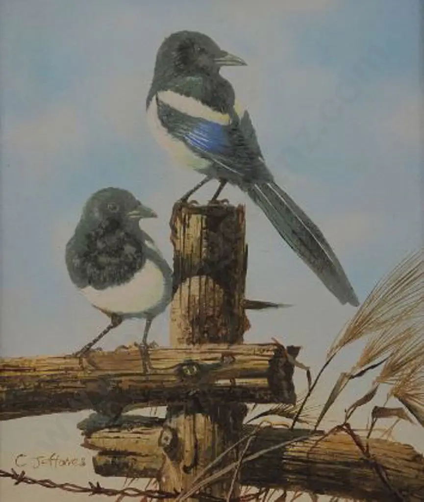 JEFFARES, C. (20th Cent.) - Birds on a Fence Image 1++