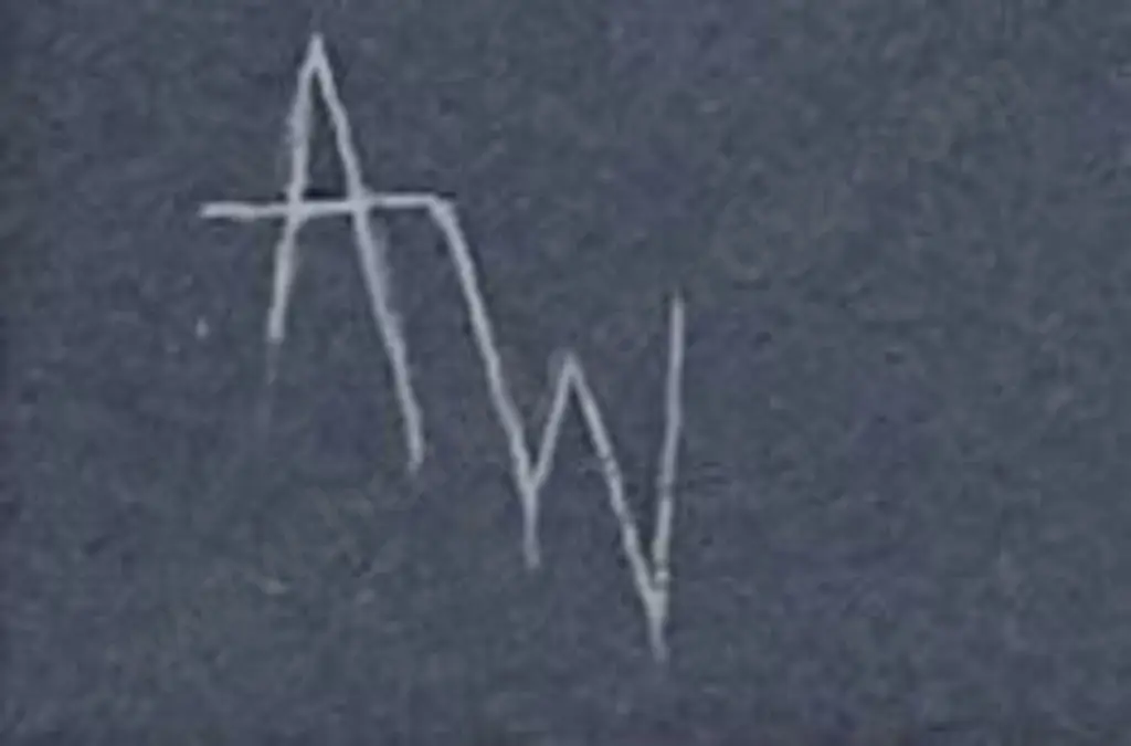 WILSON, Ann (20th Cent.) - Hoar Frosted Willows Image 1++