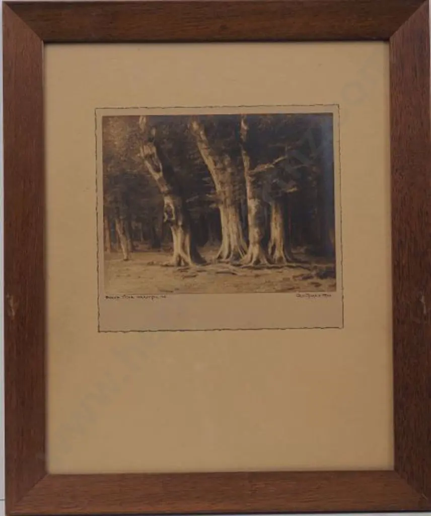 CHANCE, George (1885-1963) - Beech Trees, Wakatipu Image 1++