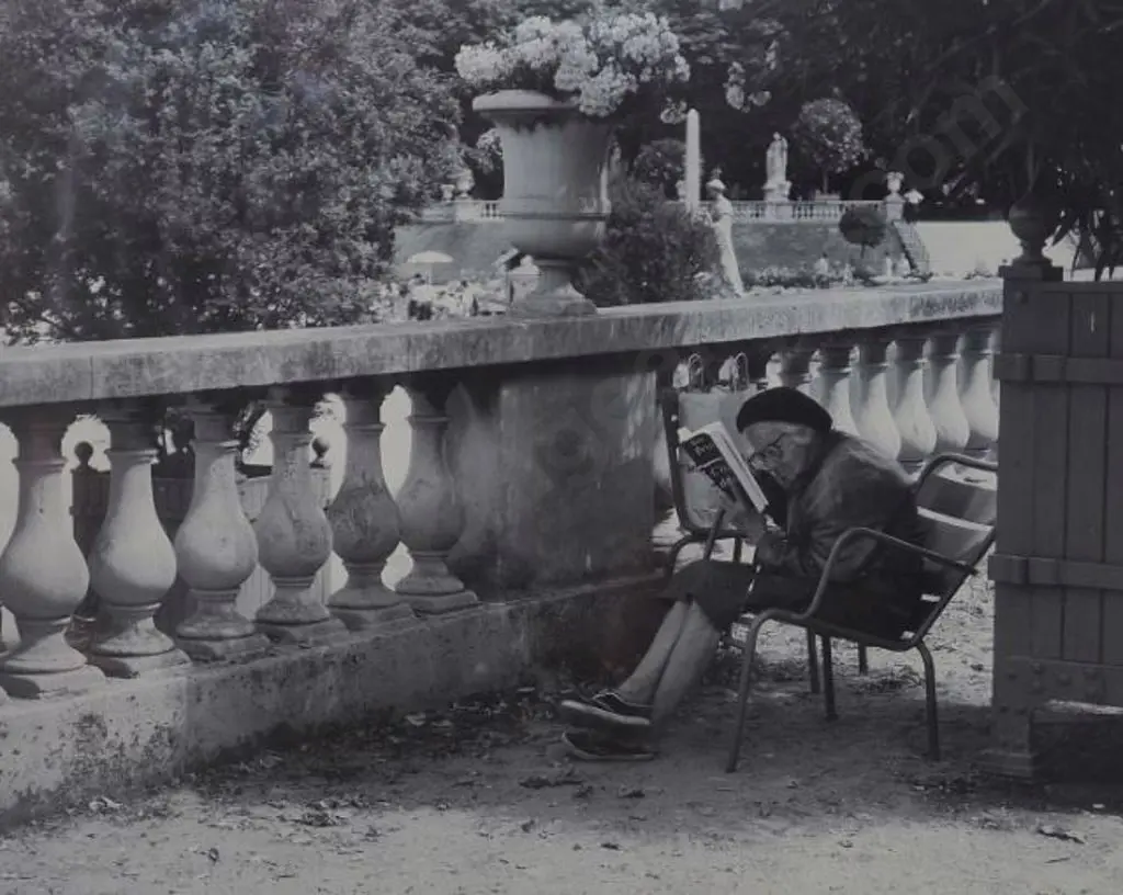 UNKNOWN photographer - Elderly French Lady Reading in Park Image 1++