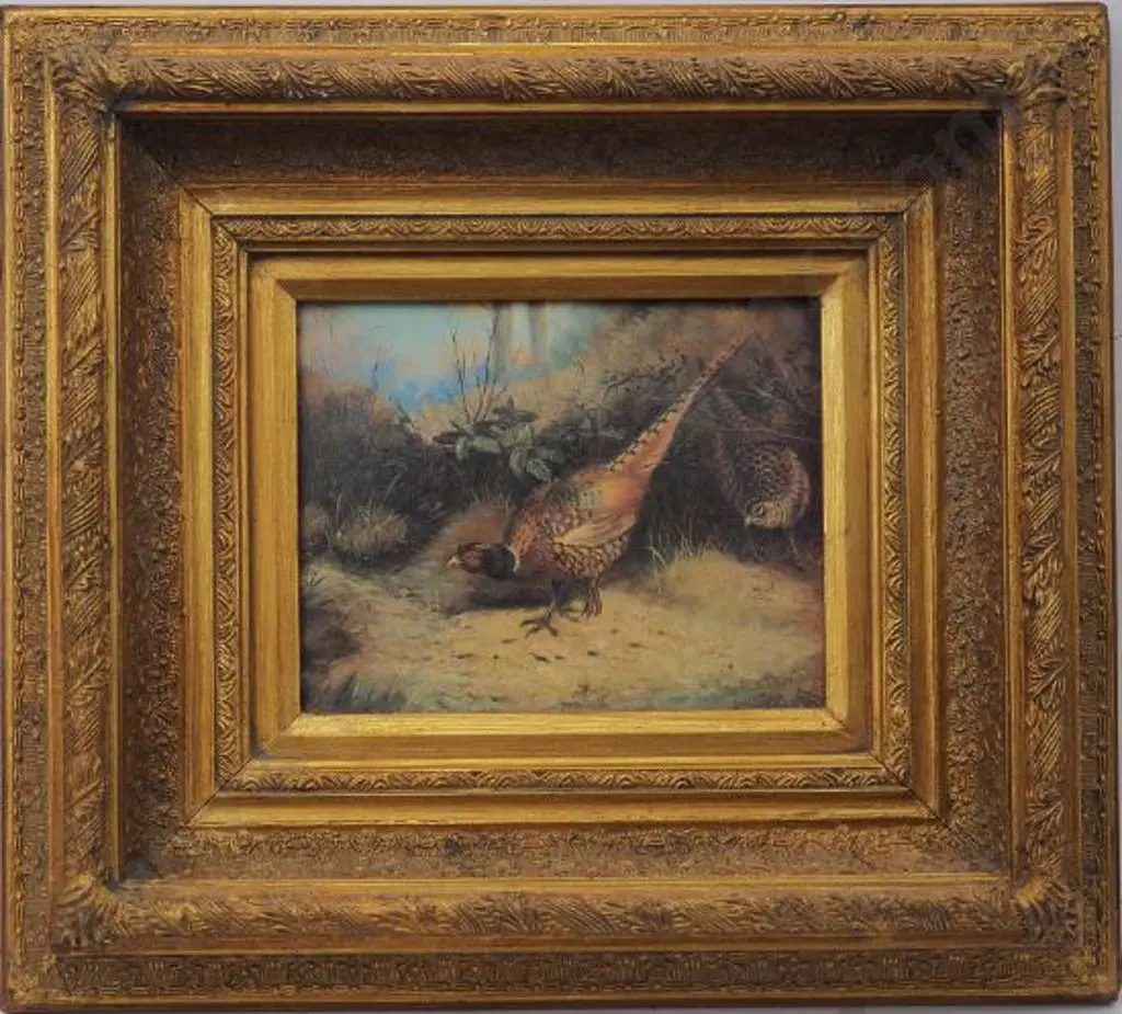 UNKNOWN artist (19th Cent.) - Pheasants Image 1++