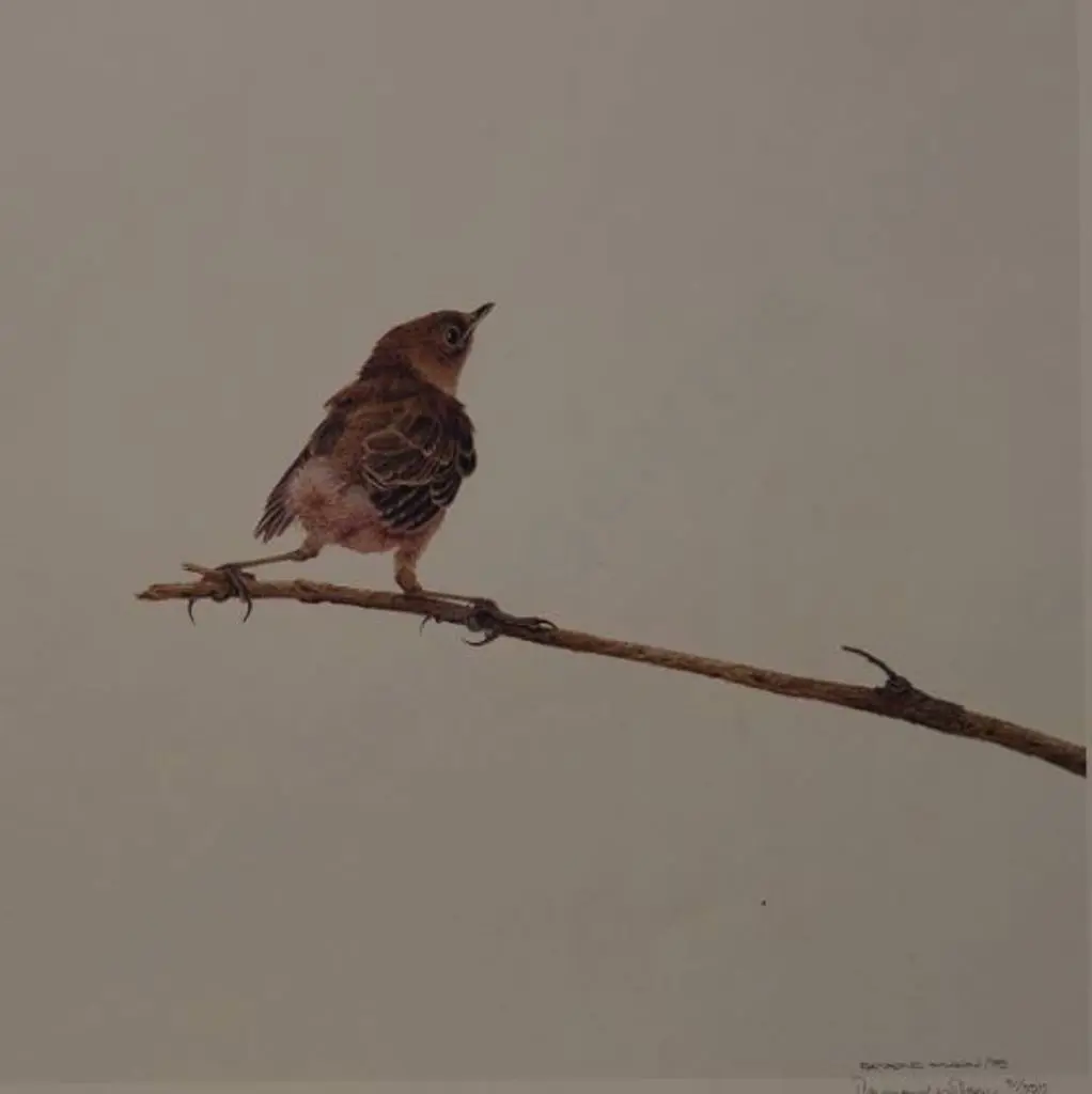 WILSON, Raymond - The Fledgling Image 1++