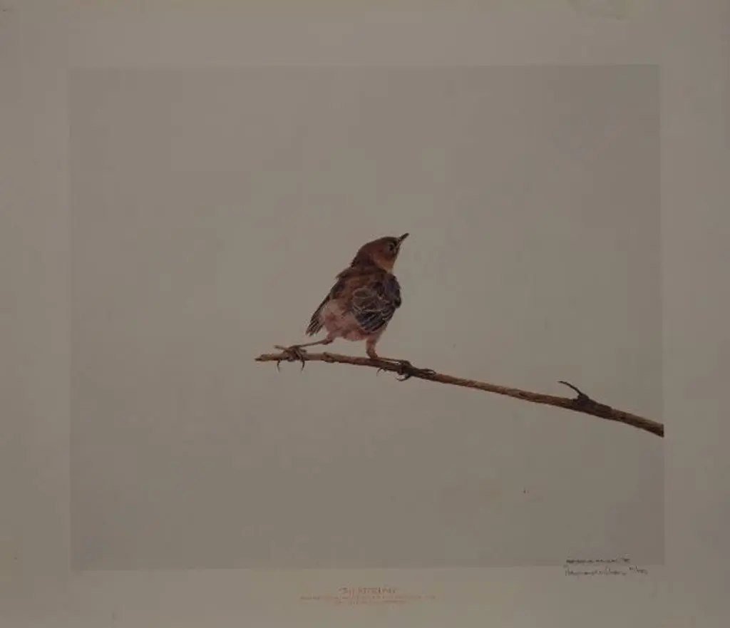 WILSON, Raymond - The Fledgling Image 1++