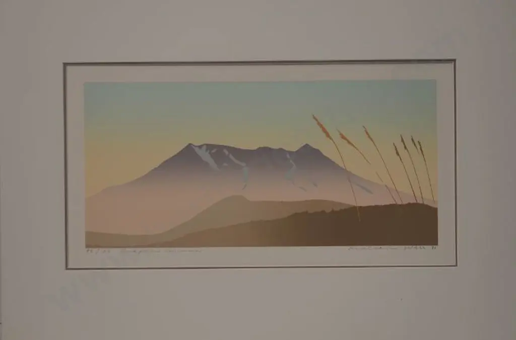 WARR, Malcolm (1939-) - Ruapehu, Summer Image 1++