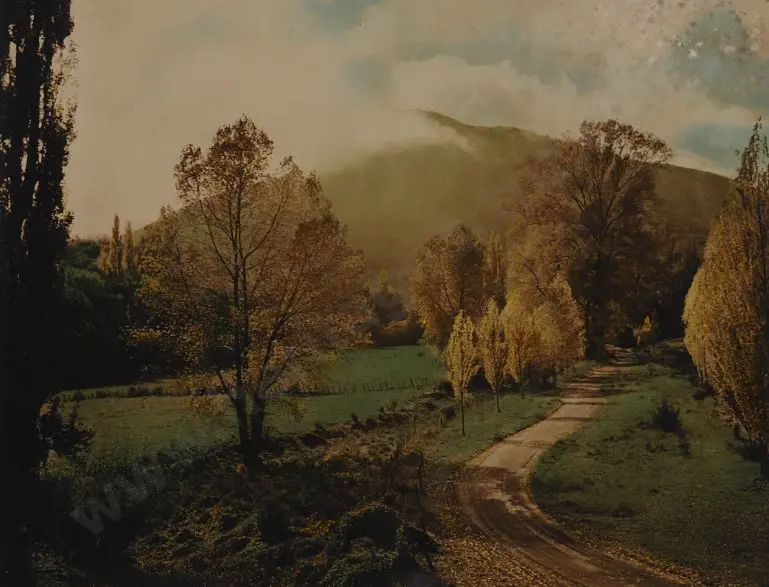 DUDGEON, Ellis (1905-1979) - Autumn, Matai Valley Image 1++