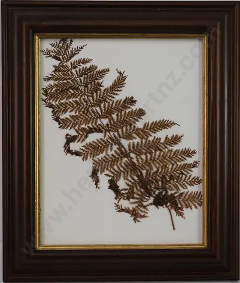 Pressed Fern (19th Cent.) - 19th Century Pressed Fern found in Burton Bros Album Image 1++