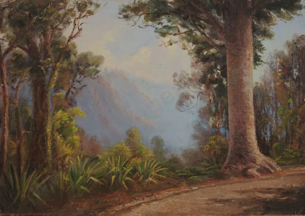 KENDALL, B.  - Kauri Tree on Woodland Path Image 1++
