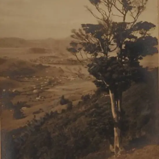 CHANCE, George (1885-1963) - Otago Harbour
