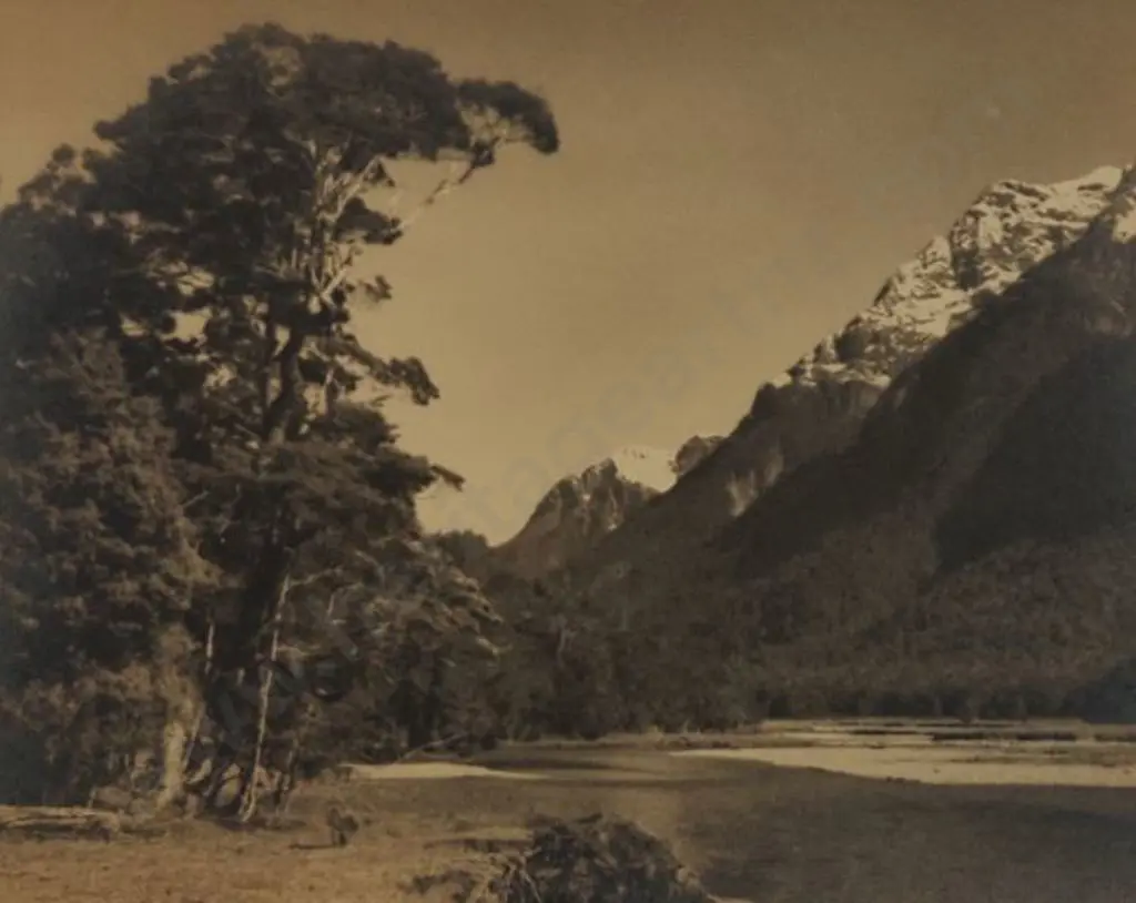 CHANCE, George (1885-1963) - The Eglington River, Milford Sound Image 1++