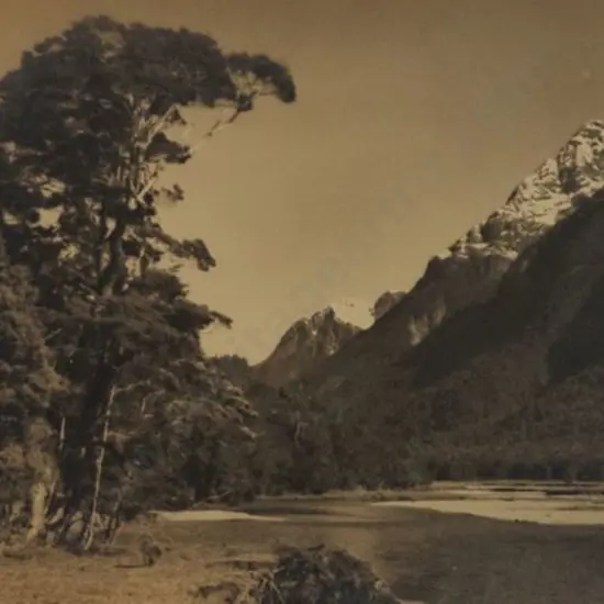 CHANCE, George (1885-1963) - The Eglington River, Milford Sound