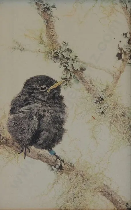 CHING, Raymond Harris (1939-) - Bird Study (ornate gilt frame) Image 1++