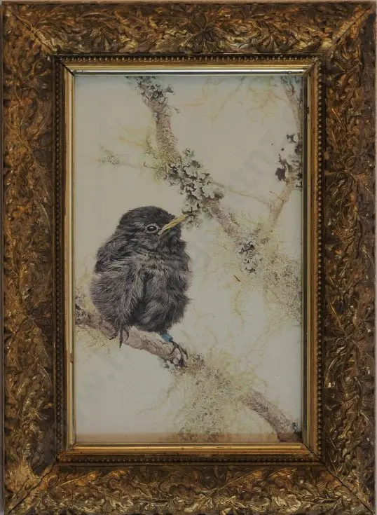 CHING, Raymond Harris (1939-) - Bird Study (ornate gilt frame) Image 1++