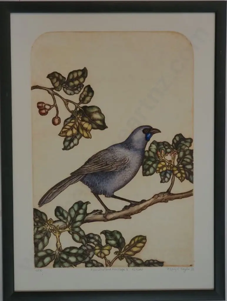 TAYLOR, Mary E. (1948-) - New Zealand Heritage - Kokako Image 1++